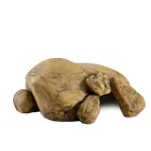 מסתור L לזוחלים