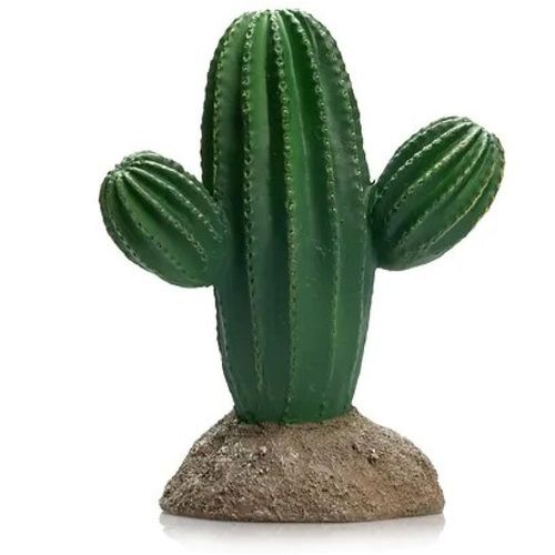 דקורציה קקטוס