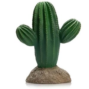 דקורציה קקטוס