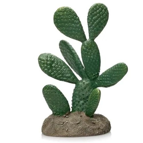 דקורציה קקטוס