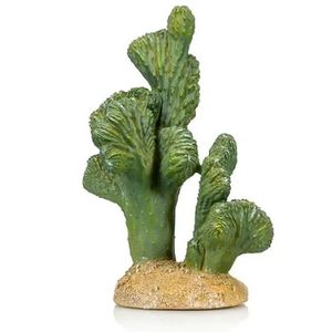 דקורציה קקטוס