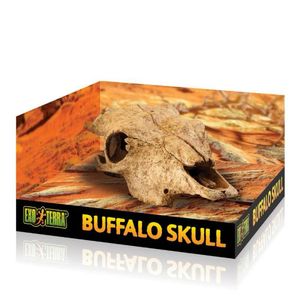 גולגולת באפלו של אקזוטרה