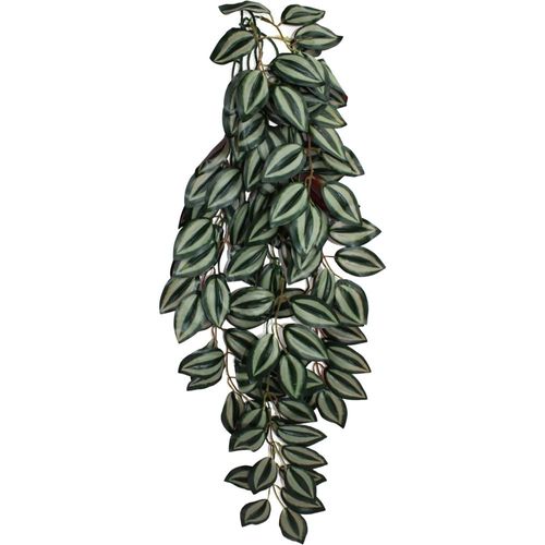 דקורציה צמח מטפס זברינה 24