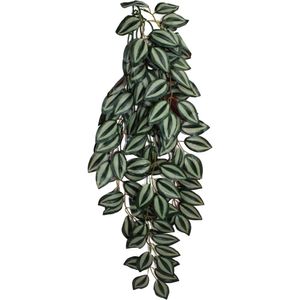 דקורציה צמח מטפס זברינה 24"