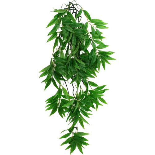 דקורציה קומודו צמח מטפס במבור 24