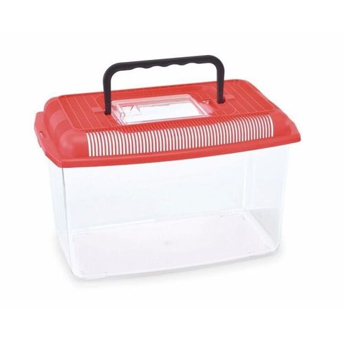 אקווריום פלסטיק לדגי זהב או דג קרב 4 ליטר