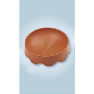 צלחת הטלה ליונים