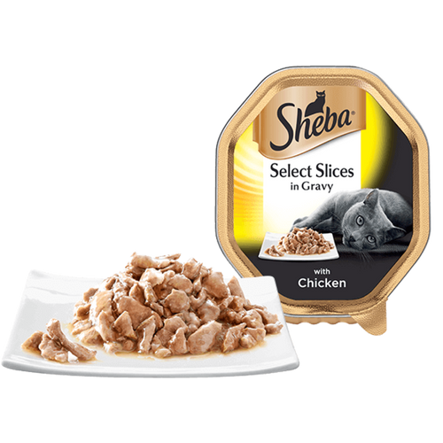 שיבא שימורי חתול נתחי עוף 85 גרם