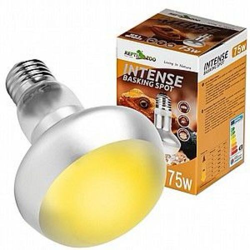  נורת שיזוף רפלקטור כפול 75W רפטי זו