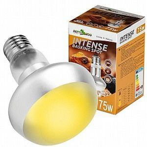  נורת שיזוף רפלקטור כפול 75W רפטי זו