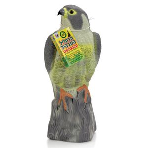 הדחליל המבהיל נץ