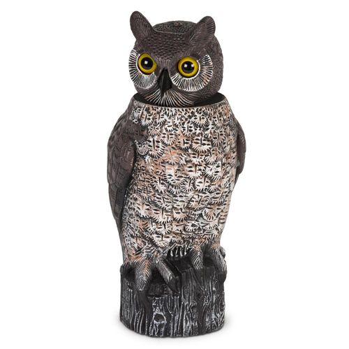 דחליל ינשוף ראש מסתובב