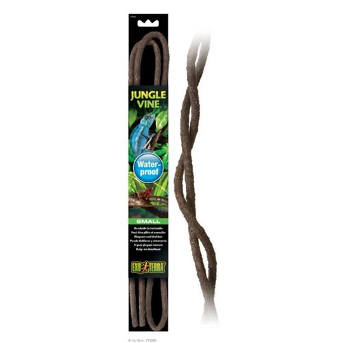 גפן ג'ונגל קטן לטרריום לזוחלים אקזוטרה