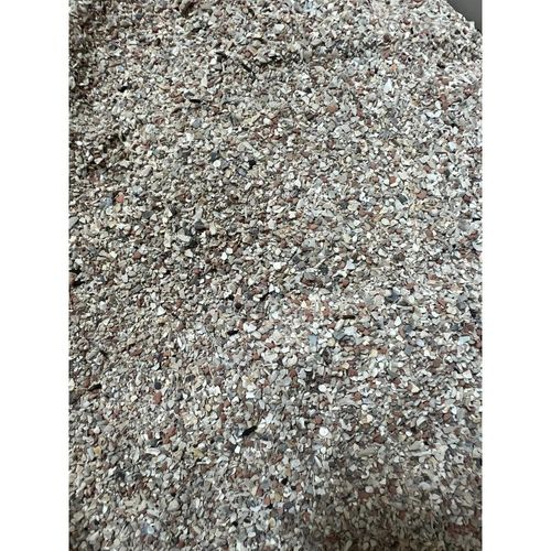 דיילי נייצ’ר חול צדפים