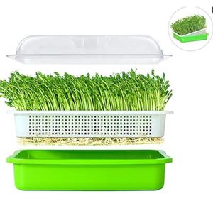 מגש לתערובת השריה הנבטה