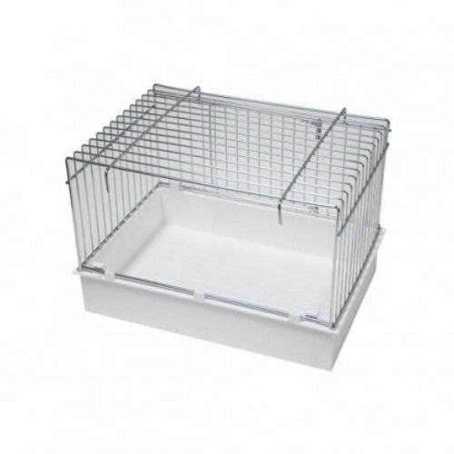 אמבט גדול לציפורים 