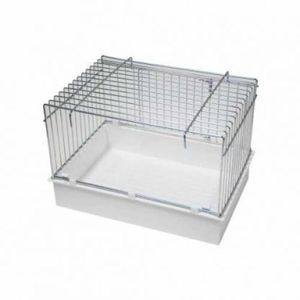 אמבט גדול לציפורים 