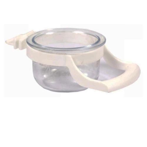 כלי אוכל צדפה