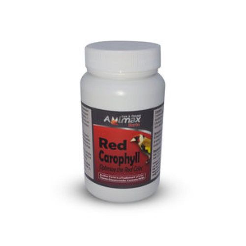 צבע אדום לכנרים 100 גרם 