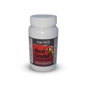 צבע אדום לכנרים 100 גרם 