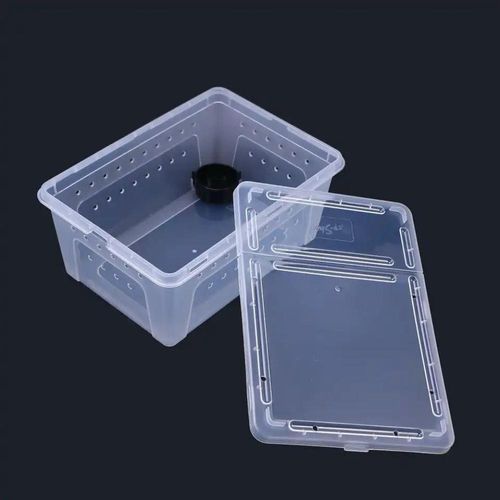 פלסטיקה לגידול זוחלים מידה 12\18\27