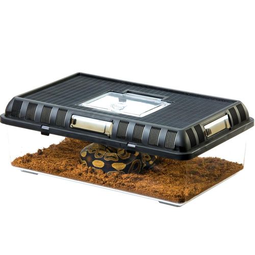 טרריום פלסטיק אקזוטרה M