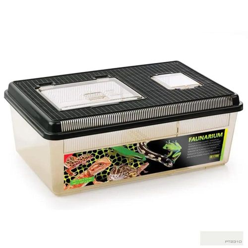 טרריום פלסטיק אקזוטרה L