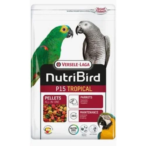 כופתיות P15 טרופיקל 10 ק