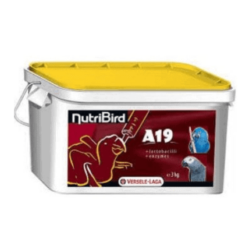 דייסה A19 לגוזלי לתוכים ורסלה לגה במשקל 3 ק”ג