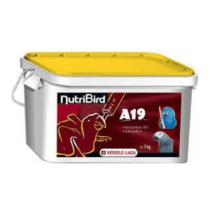 דייסה A19 לגוזלי לתוכים ורסלה לגה במשקל 3 ק”ג