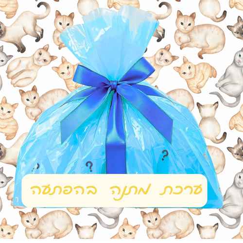 ערכת נשנוש באהבה ערכת הפתעה לחתולים 