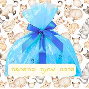     "נישנוש  באהבה" ערכת מתנה בהפתעה לחתולים