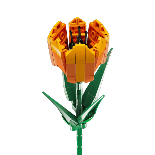 דגם הרכבה Jbricks 150713 Tulip Flower 