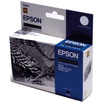 ראש דיו שחור לבן מקורי  Epson T0341 אפסון