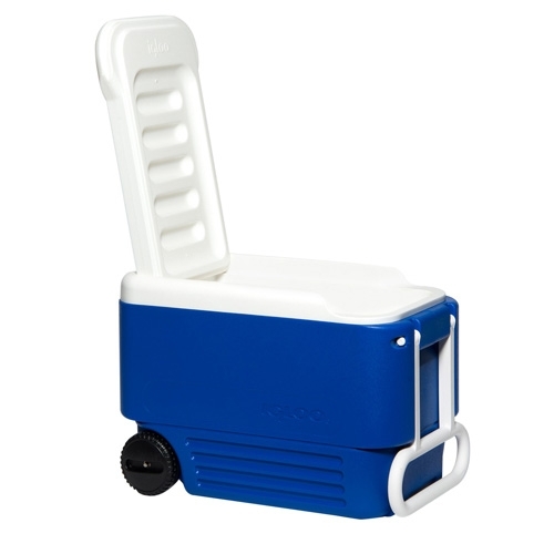  צידנית Wheelie Cool 36 ליטר IGLOO