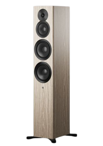 זוג רמקולים רצפתיים Dynaudio Focus 50