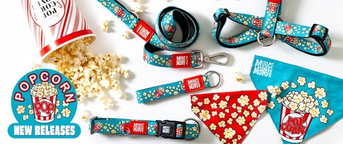 Max & Molly Popcorn harness