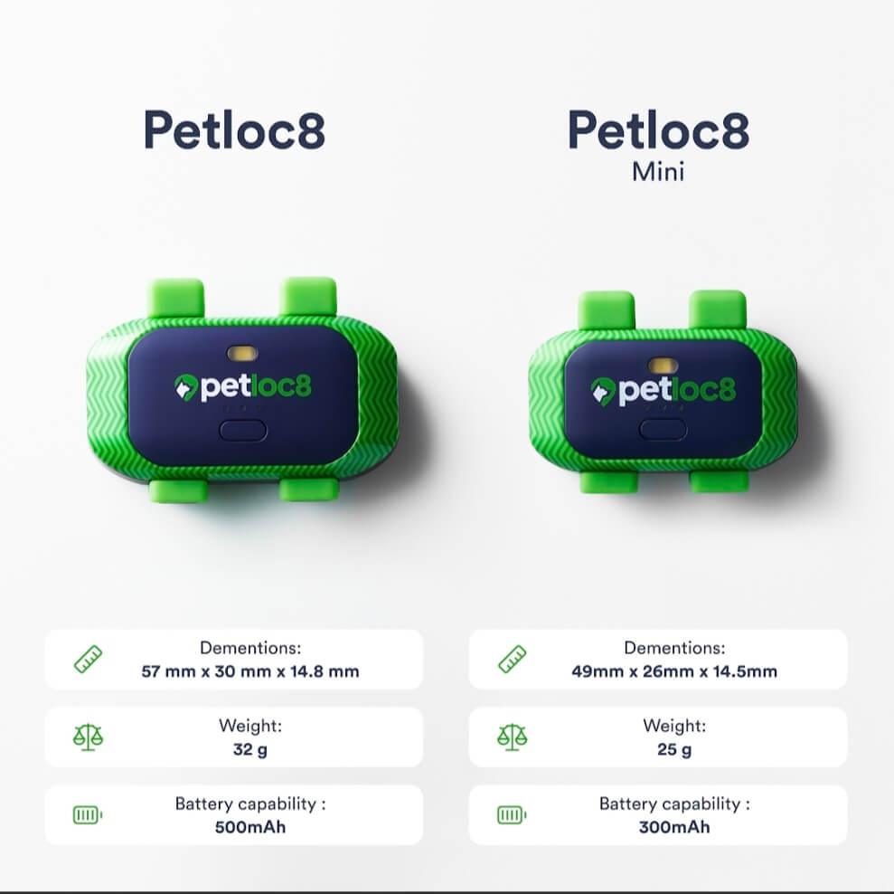 GPS לכלבים וחתולים Petloc8 - גדול
