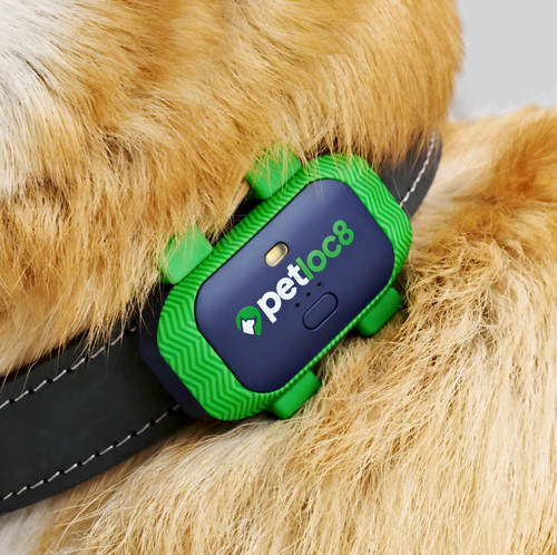 GPS לכלבים וחתולים Petloc8 - גדול