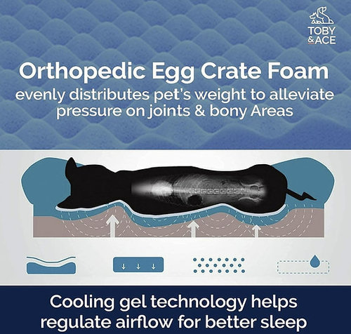 מיטת Premium Orthopedic