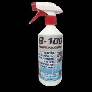 G-100 גאון בניקיון