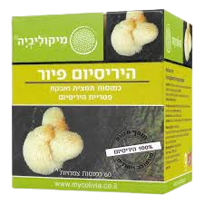 היריסיום פיור | מכיל 60 כמוסות | עשוי מפטריית "רעמת האריה" | כשר פרווה | מיקוליביה | Mycolivia