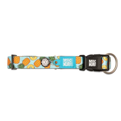 Max & Molly Pineapple