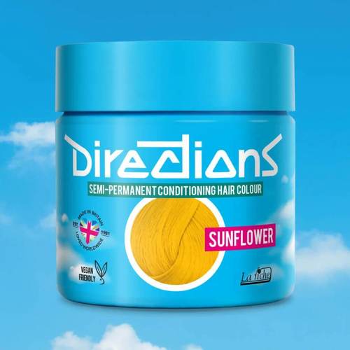 Sunflower La Riche חמניה לה ריץ`