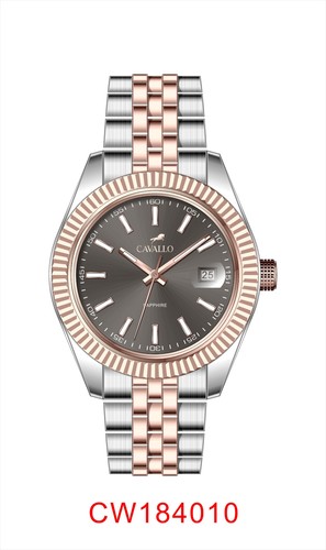 BAGGIO-SS / RG-METAL GRAY SAPPHIRE