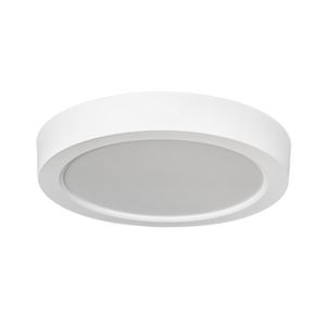 צמוד תקרה 12W