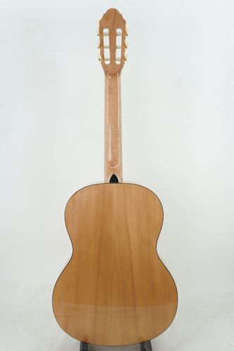 גיטרה קלאסית + נרתיק גימור מבריק GRANADA GC39AGA Laminated Agathis Back & Side