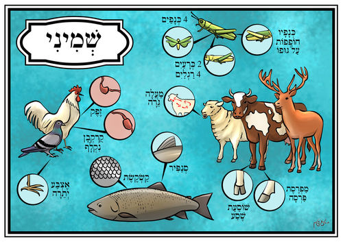 ערכת חומש ויקרא