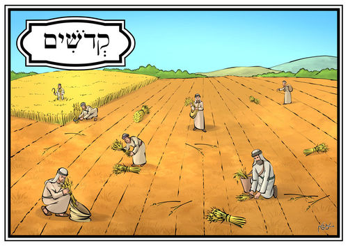 ערכת חומש ויקרא