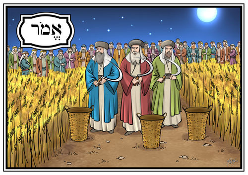 ערכת חומש ויקרא